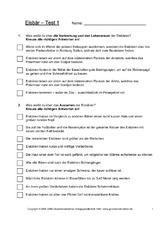 Eisbär-Test-Seite-1.pdf